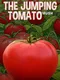 The Jumping Tomato Rush