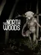 The North Woods