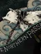 The Northern Passage