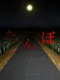 The Paddy Field