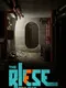 The Riese Project