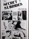 The Secret of St. Brides