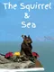 The Squirrel & Sea