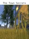 The Town Secrets