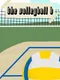 The Volleyball B