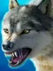 The Wolf: Online RPG Simulator