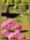 Three Kingdoms: Zhuge Liang
