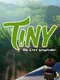 Tiny: The Last Wayfinder