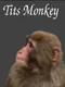 Tits Monkey