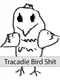Tracadie Bird Shit