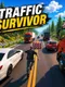 Traffic Survivor