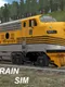 Train Sim