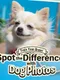 Train Your Brain! Spot the Difference with Dog Photos