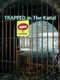 Trapped in The Kanal