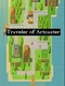 Traveler of Artcaster