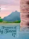 Treasure of Big Totem 17
