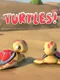 Turtles!