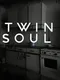 Twin Soul