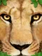 Ultimate Lion Simulator