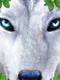 Ultimate Wolf Simulator