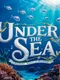 Under the Sea: A Hidden World of Wonders