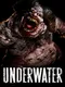 Underwater