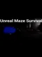 Unreal Maze Survival