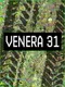 Venera 31