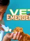 Vet Emergency 2