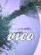 Vico