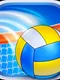 Volleyball Champions 3D