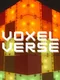 Voxel Verse