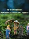 VR Wonderland: mini civilizations in a forest