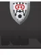VRFC Virtual Reality Football Club