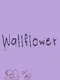 Wallflower