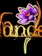 Wander
