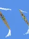 War From Above