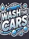 Wash the Cars