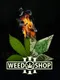Weed Shop 3