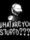 What Are You Stupid