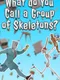 What do You Call a Group of Skeletons?