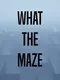 What the Maze