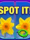 What's the Difference? Spot It