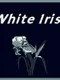 White Iris