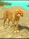 Wild Cheetah Sim 3D