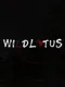 Wild Lotus