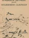 Wilderness Campaign