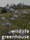 Wildlife Greenhouse