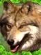 Wildlife Simulator: Wolf
