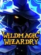 Wildmagic Wizardry
